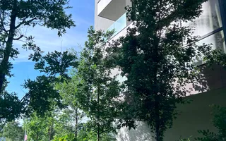 Apartament 3 camere Sectorul 1 - Lângă Lacul Străulești - Poză 20