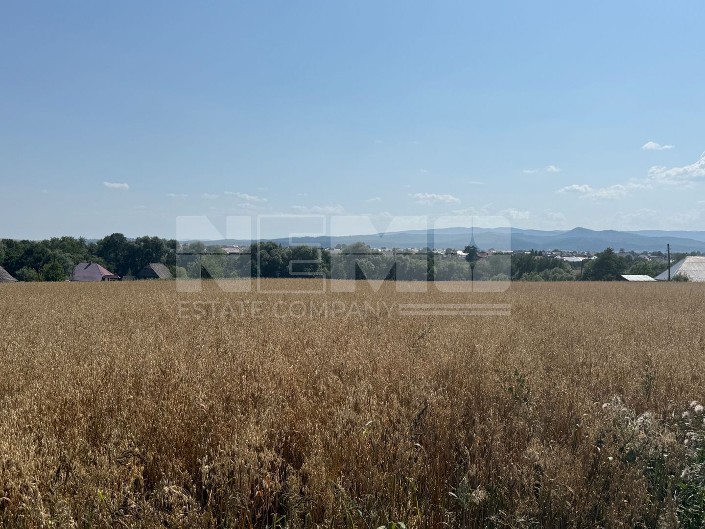Teren intravilan de vânzare | Horodnic de Sus | 77 ari - Poză 4