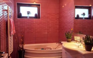 Vila cu 7 camere de vanzare in Paulesti - Poză 20