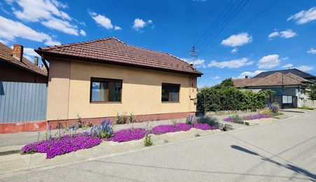 Casă + Teren 2.730 mp – Oportunitate de Investiție, Nufărul