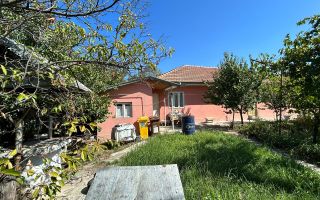 Casa si teren 4333 mp de vanzare in Tomesti - Chicerea-90,000 € - Poză 1