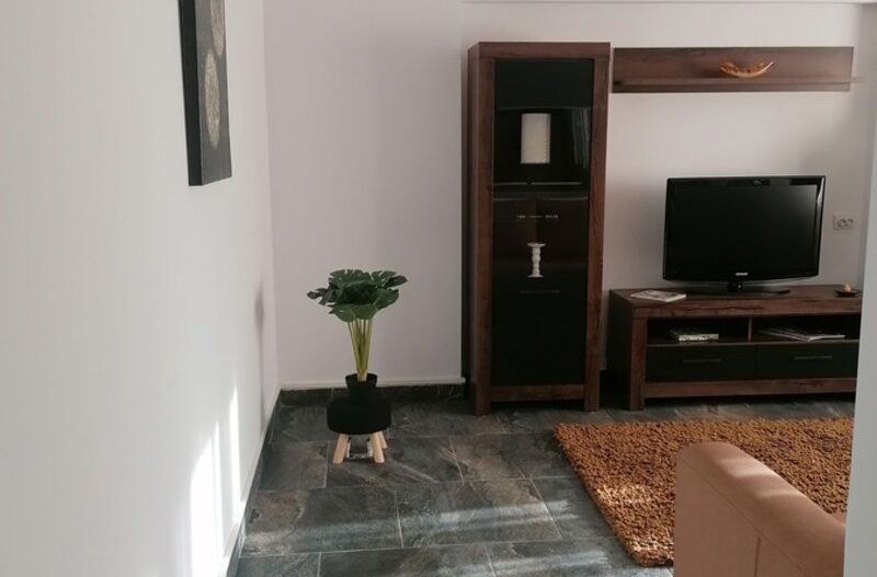 Apartament 2 camere Nicolae Grigorescu - Poză 8