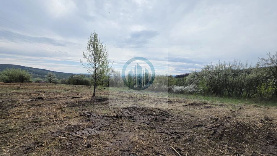 De vânzare teren intravilan – Bârsau, jud. Hunedoara - Poză 3