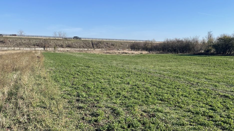 Teren 4316 mp Giarmata Vii-zona mica industrie, depozitare si servicii - Poză 4