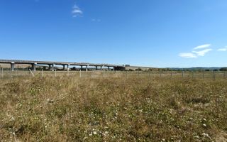 Black Friday Teren Extravilan I 4200 mp I Împrejmuit I Sibiu - Poză 3