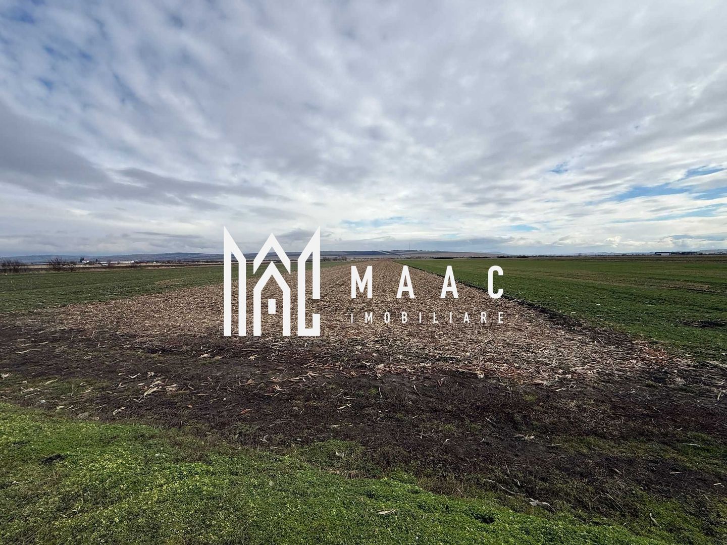 Teren intravilan | 9600 mp | Șură Mică | Utilități | Drum Asfaltat - Poză 5