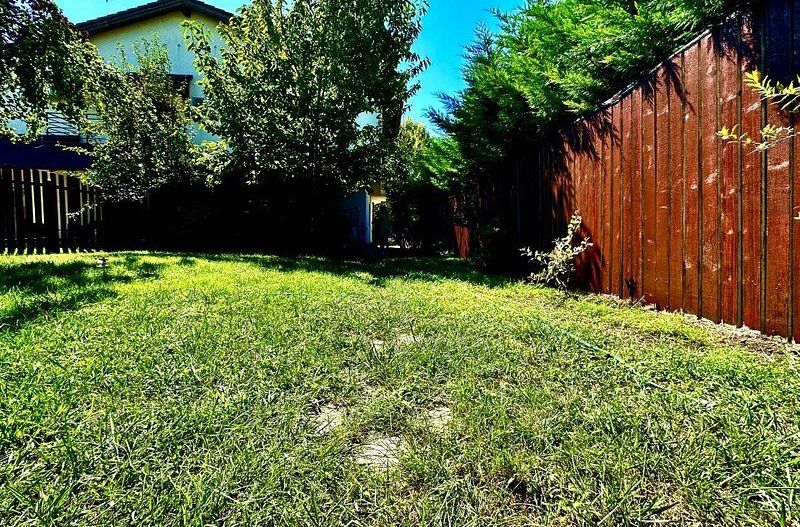 Casa de inchiriat în Calea Aradului - Poză 29