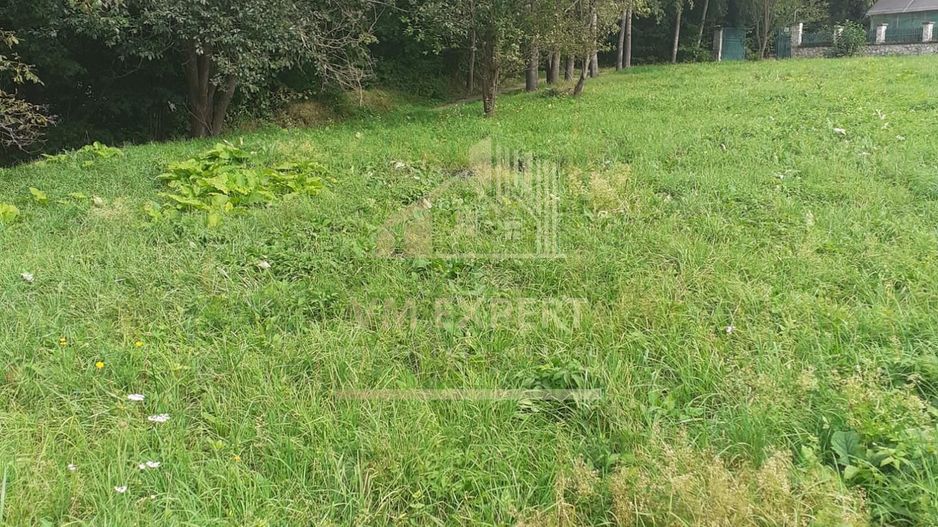 TEREN INTRAVILAN 3698 MP, CAMPULUNG, ARGES - Poză 4