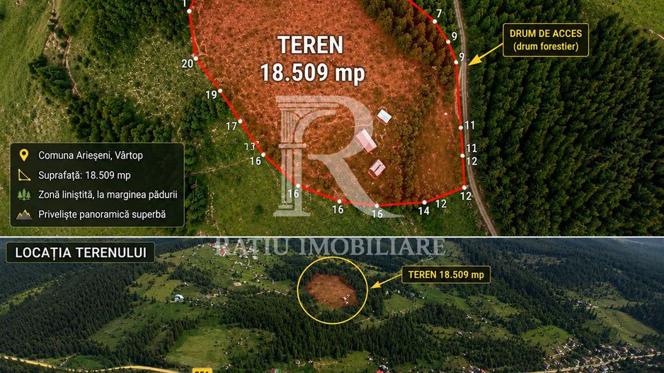 Teren 18506 m | Izlaz | Arieseni - Poză 1