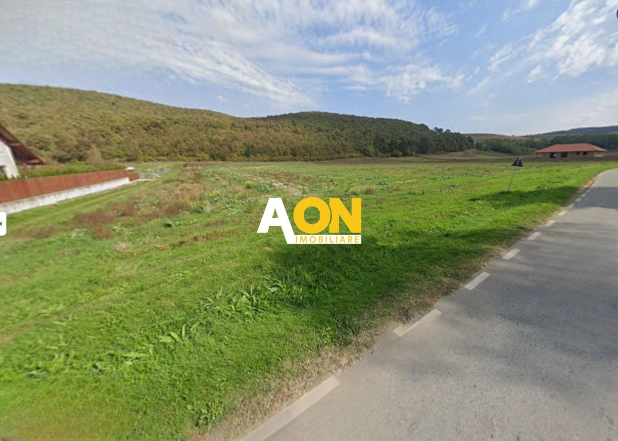 Teren intravilan, 2800 mp, la asfalt,cu utilitati, Hapria, com. Ciugud - Poză 1