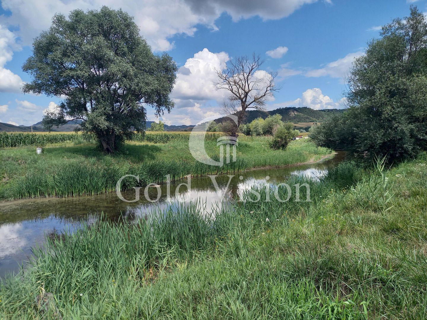 Teren Intravilan de 12.000 mp cu lac de 900mp,in Albesti-Sighisoara - Poză 1