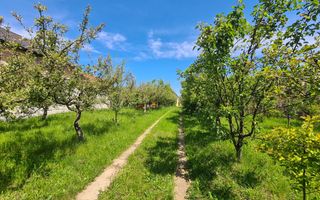 Casa de vanzare - IDEAL INVESTITIE - 1652mp teren - Daia - 105mpu - Poză 5