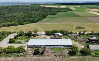 Fabrică funcțională cu profit și acces direct la R2 - Poză 5