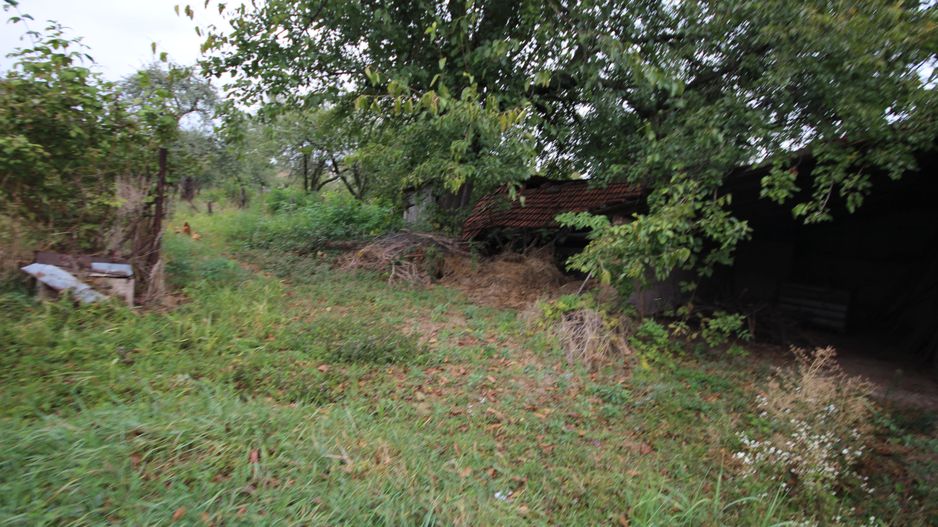 Teren de vânzare - 1900 mp Dumbravita - Poză 4