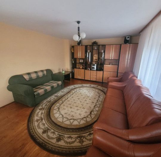 Inchiriere Vila Pitesti, Prundu Mic - Poză 8