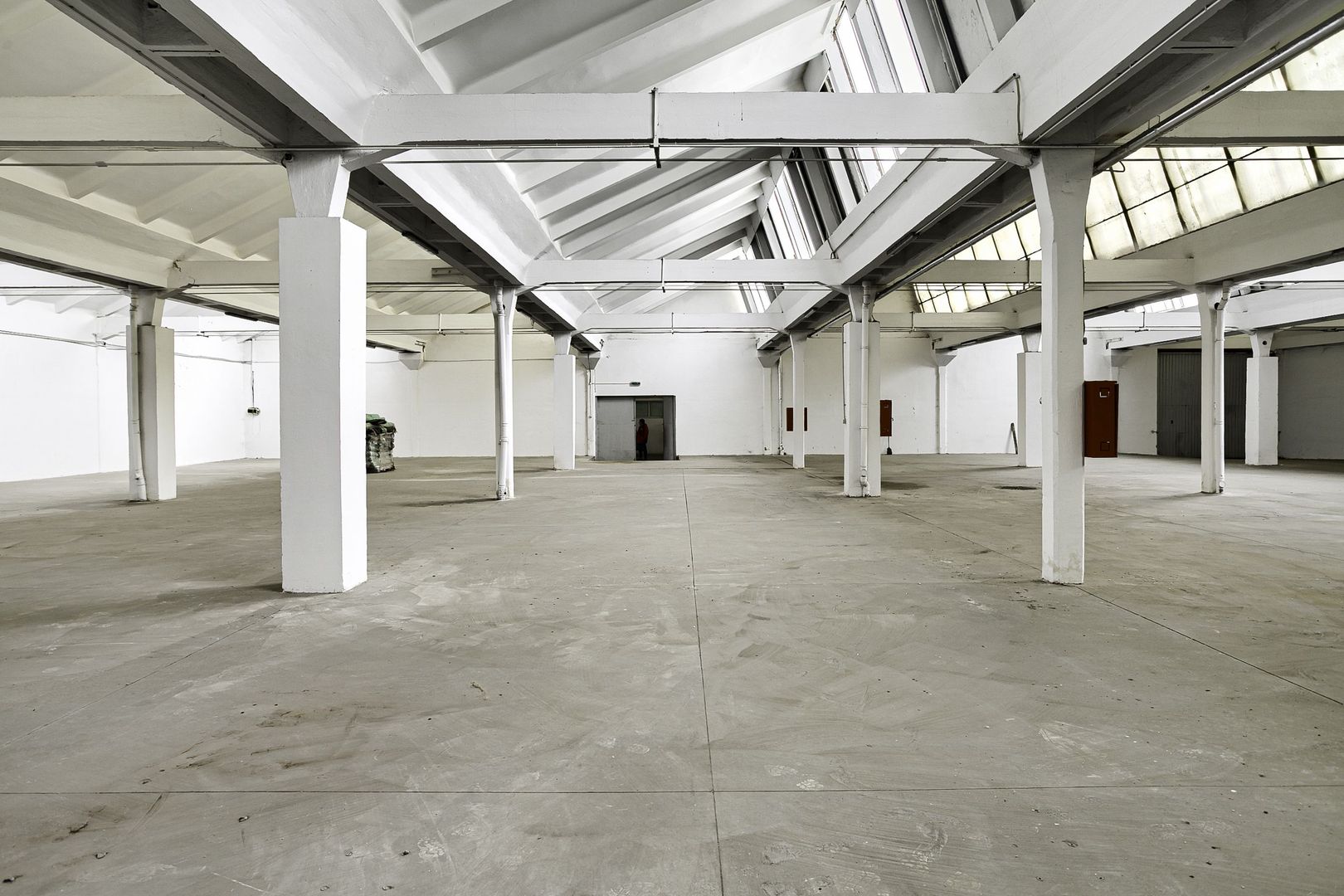 Hala Industriala de inchiriat 1.174 mp cu rampa egalizatoare, Arad - Poză 5