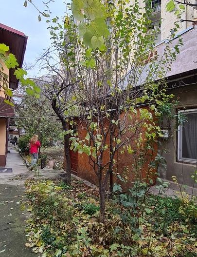 De Vanzare Casa Individuala cu 1 camere, Romana sector 1 - Poză 9