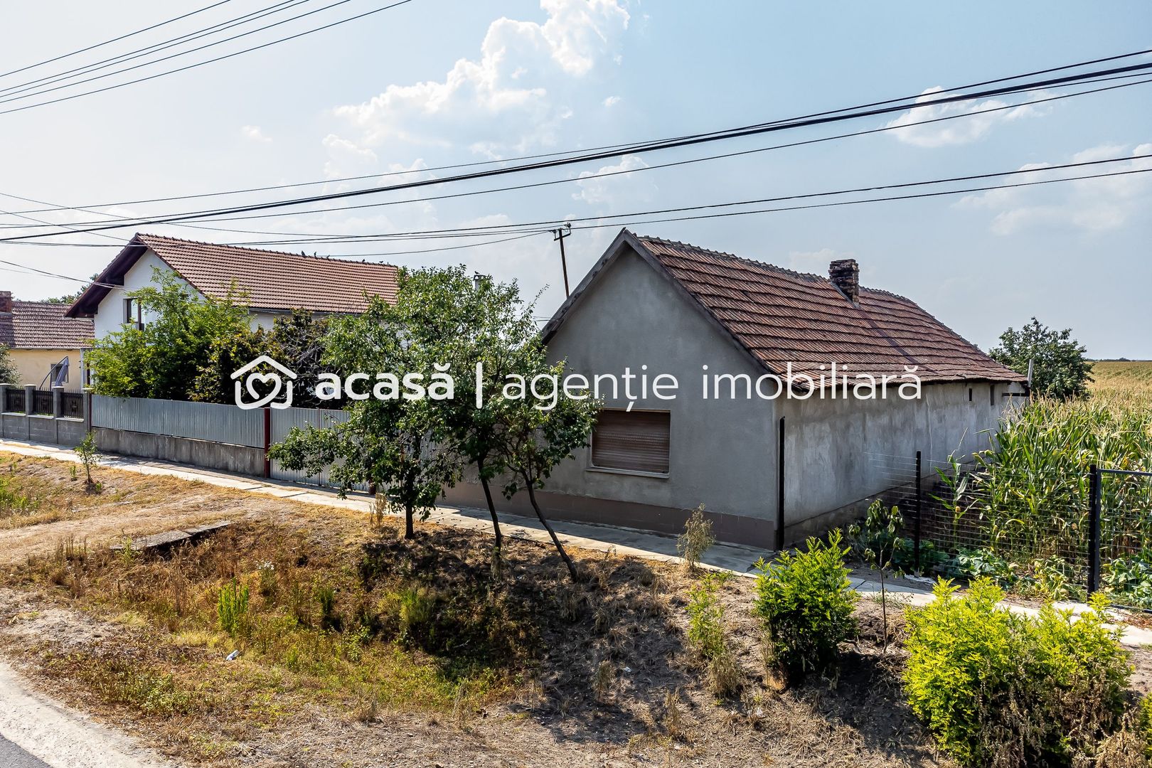 Casă Variasu Mare Jud. Arad cu teren 16883 mp - Poză 5