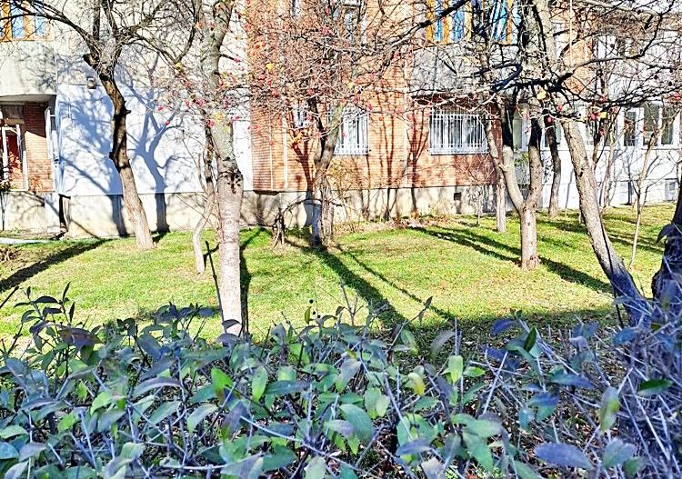Zona Faget- Apartament cu doua camere, mobilat pentru birouri, 450 euro - Poză 15