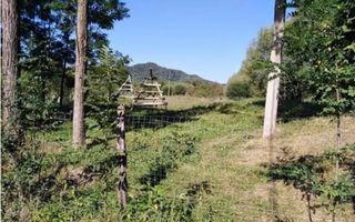 TEREN INTRAVILAN 5000 MP, BRADULET, ARGES - Poză 4