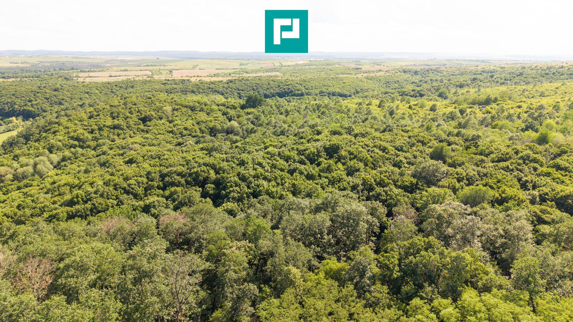 TEREN AGRICOL EXTRAVILAN  22.900 MP LIPOVA - Poză 19