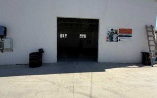 Hală de închiriat, 215 mp, zonă industrială Tomesti, Iași - spațiu depozitare/producție - Poză 4