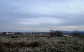 Teren Arabil Turnișor - Spre ferma de pui - Poză 1