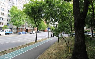 Pet-fiendly, 5 min. Iulius Mall, 2 camere, centrala proprie. - Poză 14