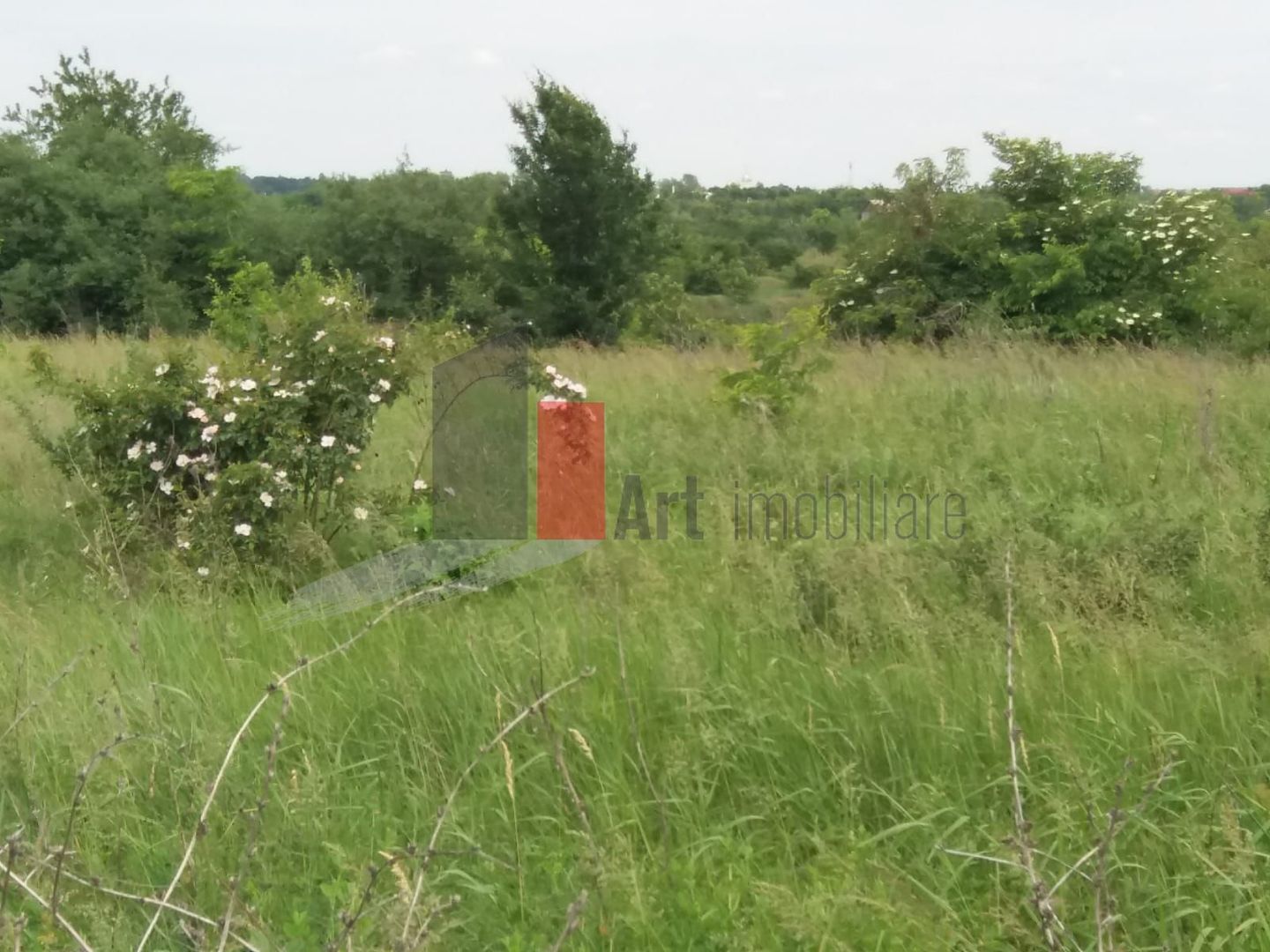 Teren Buftea cu iesire la lac - Poză 21