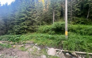 50 hectare teren | Moldova-Sulita | Potential turistic si agricol - Poză 18