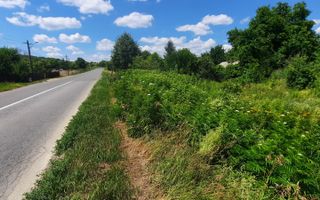 🌳 🌞🌿 TEREN INTRAVILAN  2800 mp - 30 Euro/mp  - RATE LA  NOTARIAT  ! 🌳🌞🌿 - Poză 6