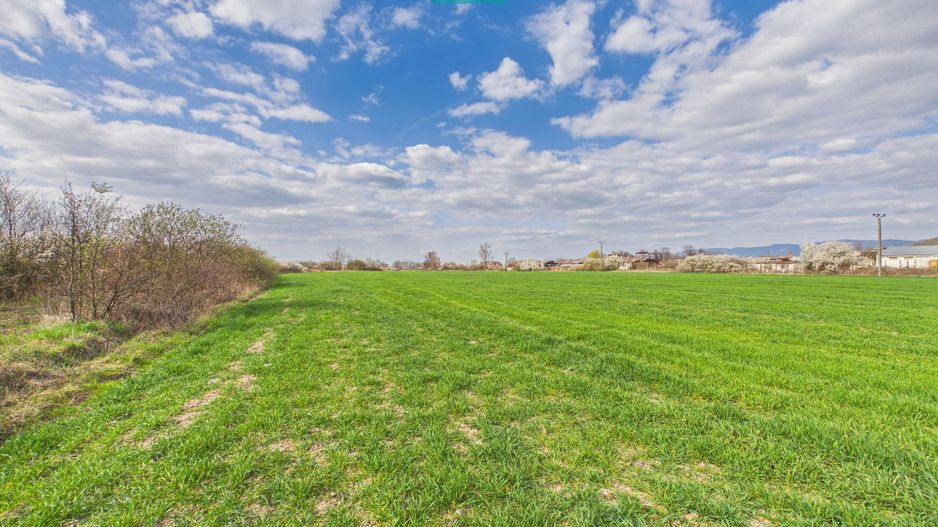 Teren extravilan, 1 ha, în orașul Sebiș, Arad - Poză 8