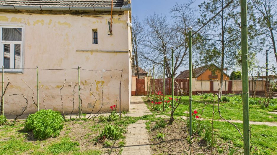 Casă cu Grădină Mare la 30 km de Timișoara - Poză 22