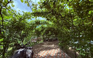 De vanzare casa P+M, 900 mp teren, zona Baisa - Poză 12