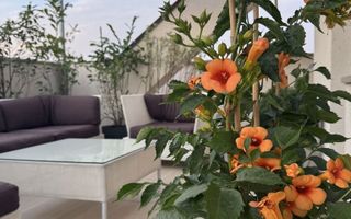 APARTAMENT  ELEGANT CU TERASA ZONA TIMPURI NOI - Poză 2