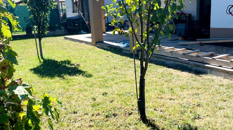Casă parter semifinisatǎ Cihei – 300 mp teren - Poză 4
