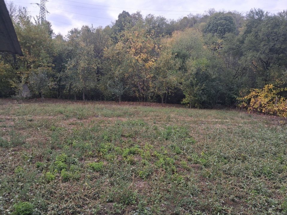Casă tradițională cu teren generos – Borosteni, Peștișani, jud. Gorj - Poză 3