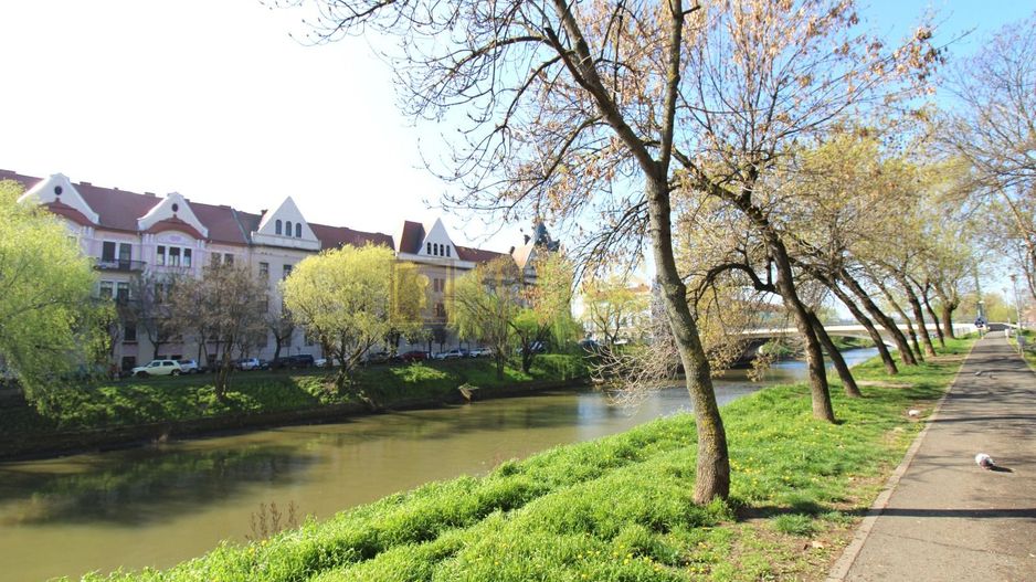 3 camere, etaj 2, lift, prima inchiriere, vedere spre Bega - Poză 15