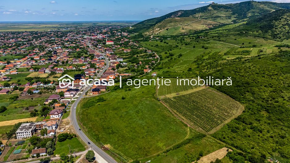 PRET REDUS Oportunitate de afacere, Teren cu vita de vie - Poză 4