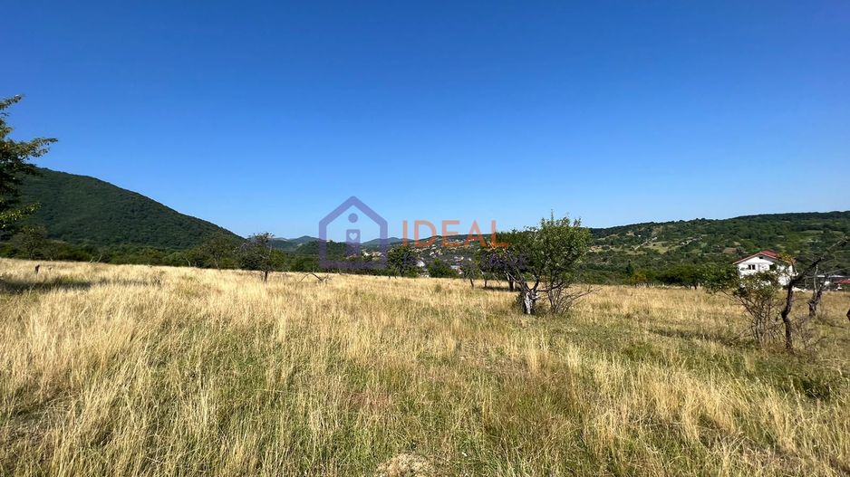 Teren intravilan cu PUZ in Cisnadie - Poză 3