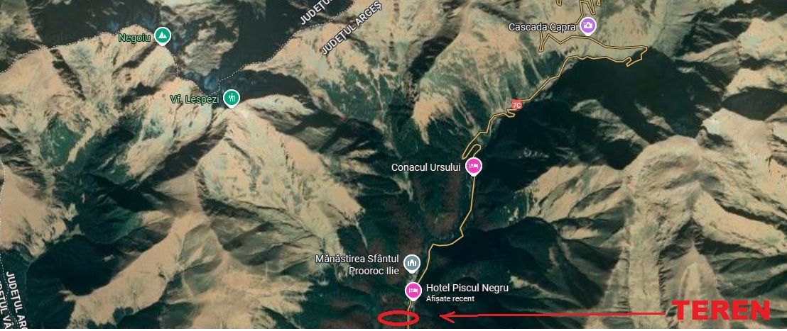 TEREN EXTRAVILAN PADURE PISCUL NEGRU ARGES - Poză 9