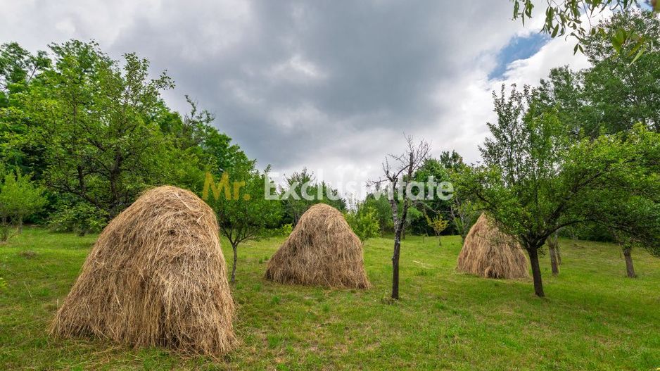Casa moderna si casa bunicii + 6300 mp teren,Oaza autentica in Corbi Arges- - Poză 18