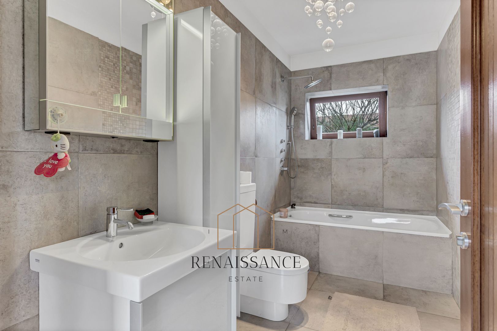 Timisoara Plopi Casa pe Parter cu Piscina | 8 Dormitoare 5 Bai | 3340m - Poză 6