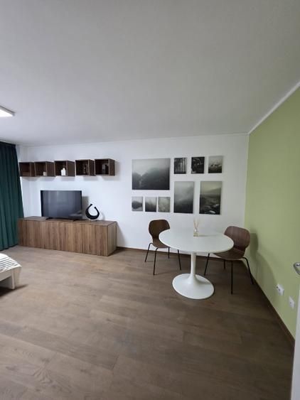 Prima Inchiriere Garsoniera -Unirii, Pet Friendly, Pret Negociabil - Poză 8