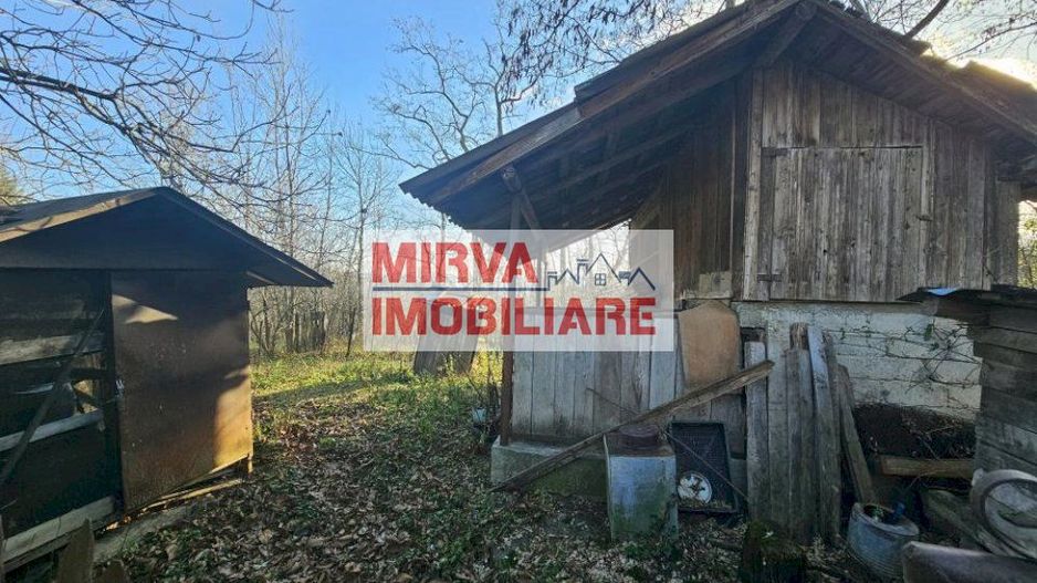 Vanzare casa plus anexa, teren 3843 mp, in Sat Pietriceaua - Poză 11