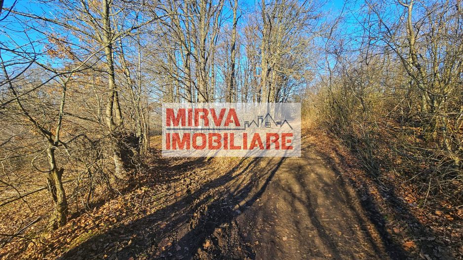 Teren intravilan 2.000 mp – Seciu, 2 deschideri, Priveliște panoramica - Poză 16