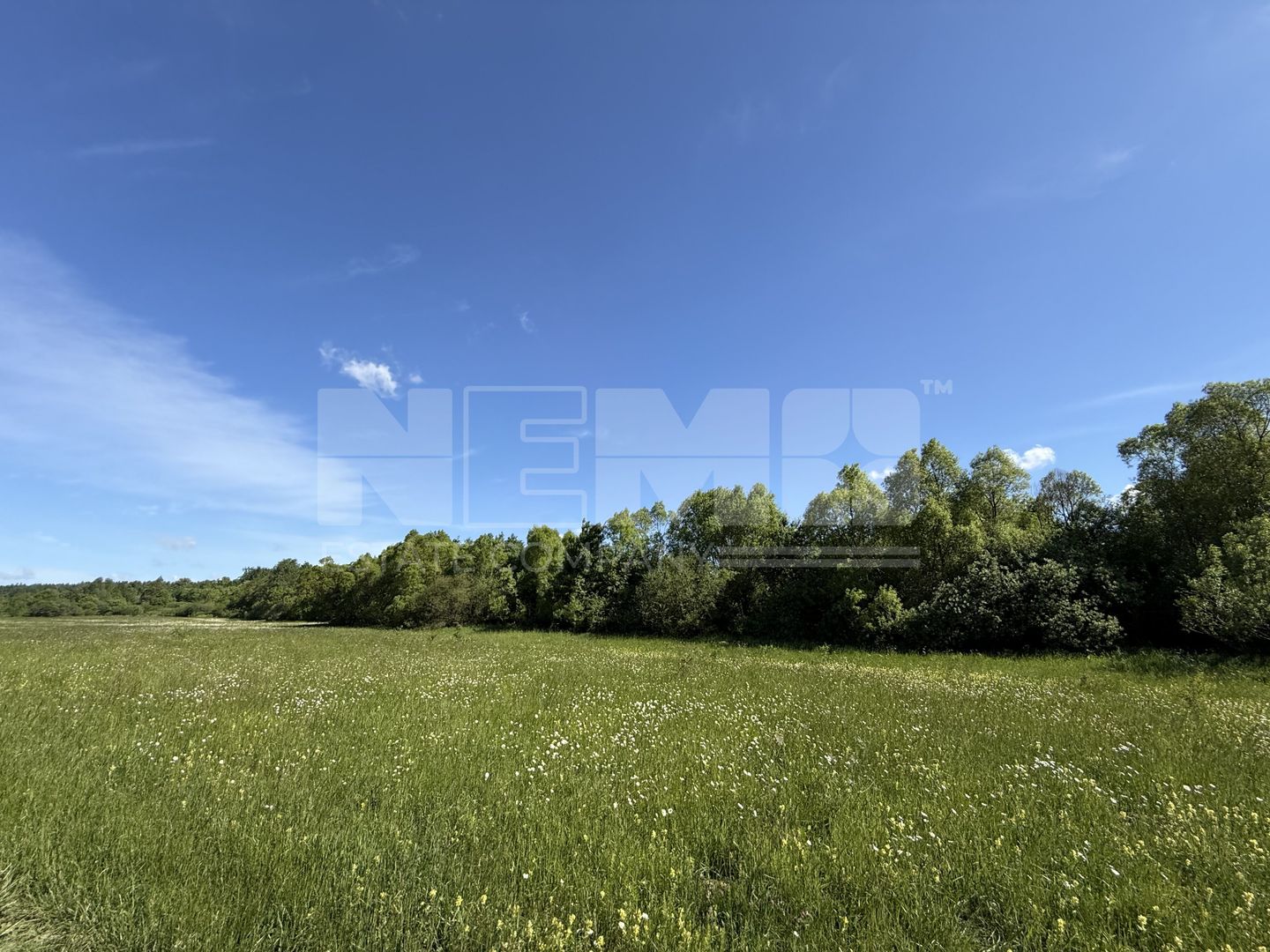 Teren de vânzare | Hardic | 2.300 mp - Poză 2