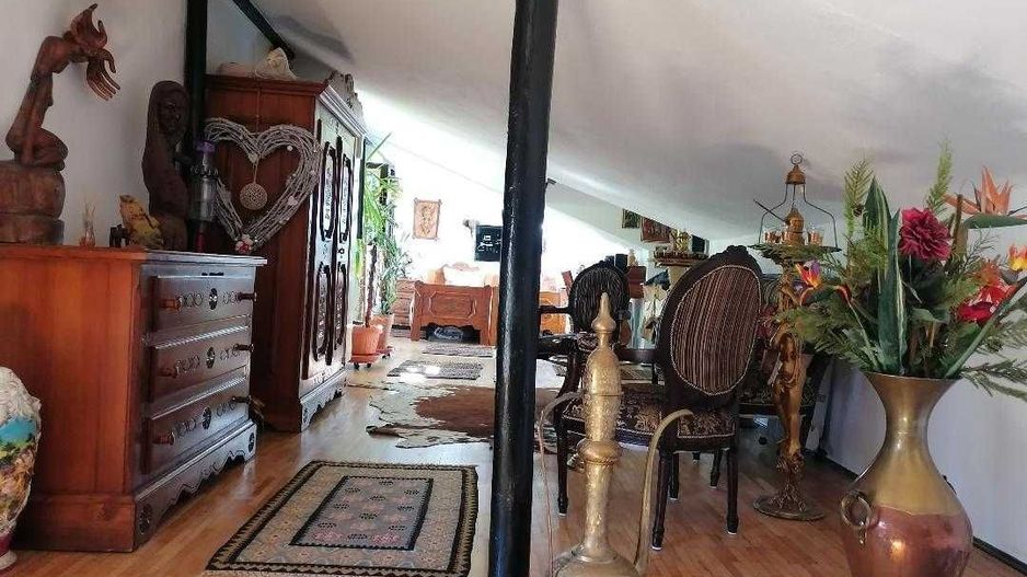 COTROCENI - Cuibușorul de nebunii al pictorului Zamfir DUMITRESCU - Poză 6