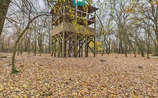 Teren pe malul Muresului- oportunitati multiple - Poză 21