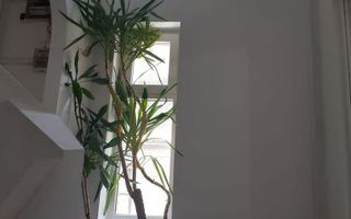 VANZARE CASA P+2 | ZONA UNIRII - Poză 3